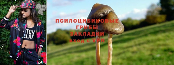 spice Алексеевка