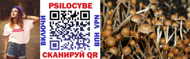 Псилоцибиновые грибы Psilocybe  наркота  Ухта 