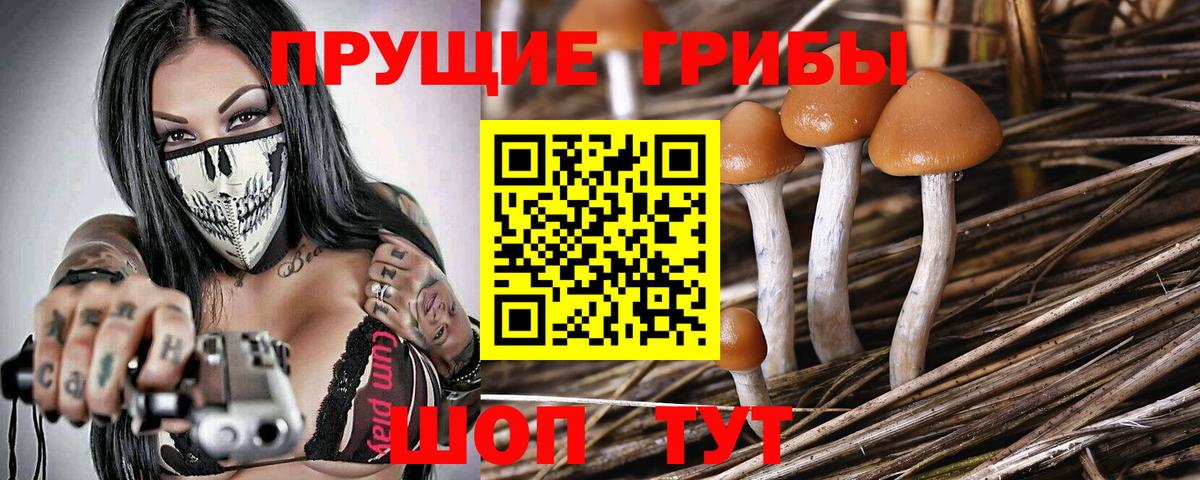 как найти закладки  Псилоцибиновые грибы MAGIC MUSHROOMS  Вход с VPN  Ухта 