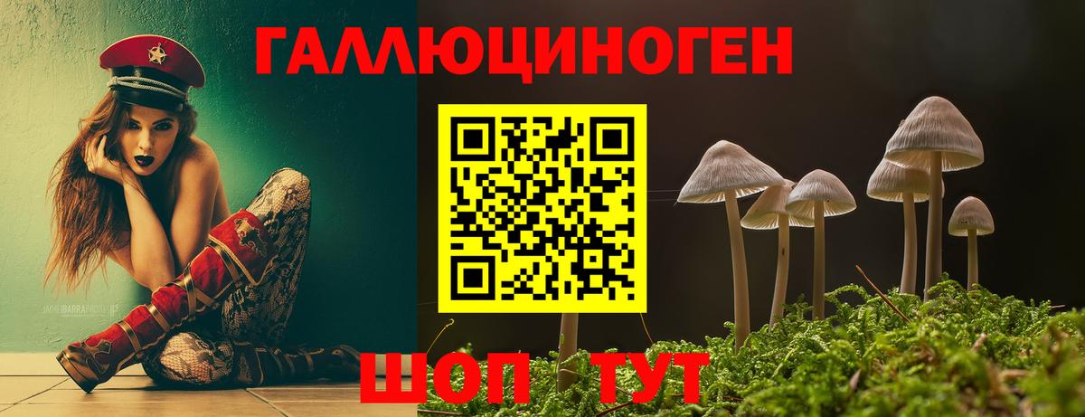 Галлюциногенные грибы Psilocybine cubensis Ухта